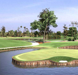 100+ Courses simulator